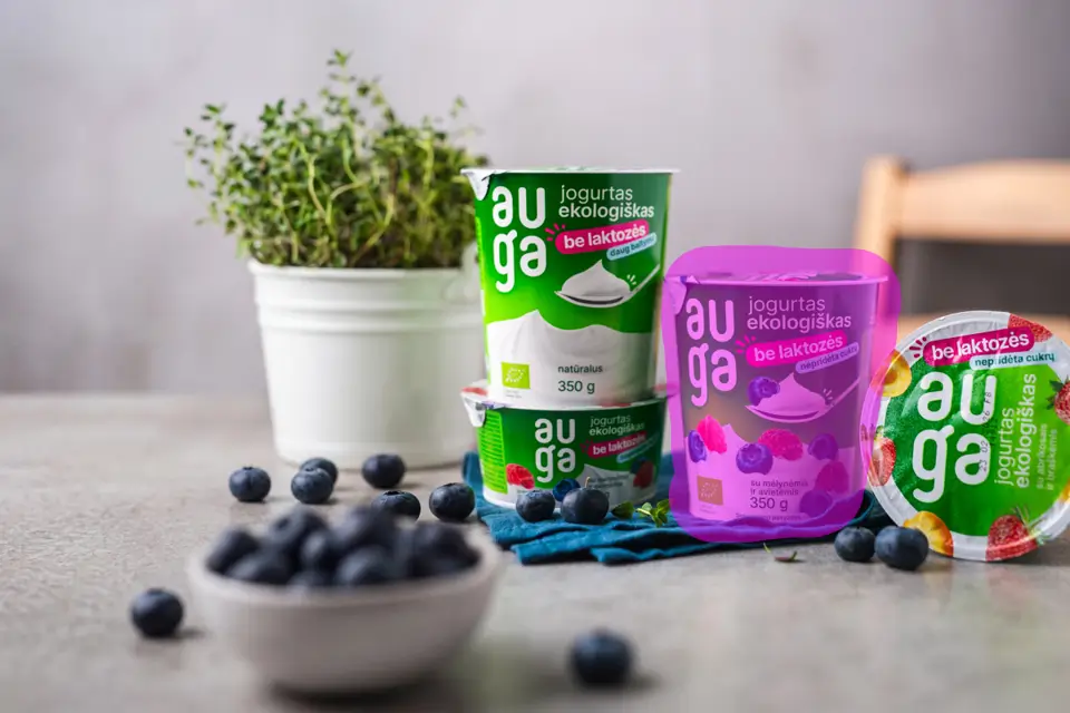 Before object removal example